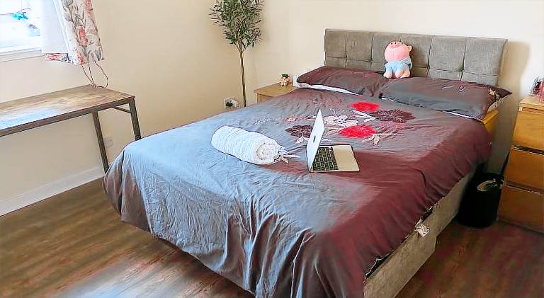 Beautiful dedicated room | Pet-friendly — photo 2