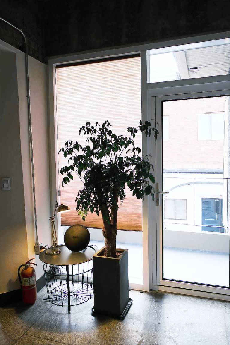 foto16