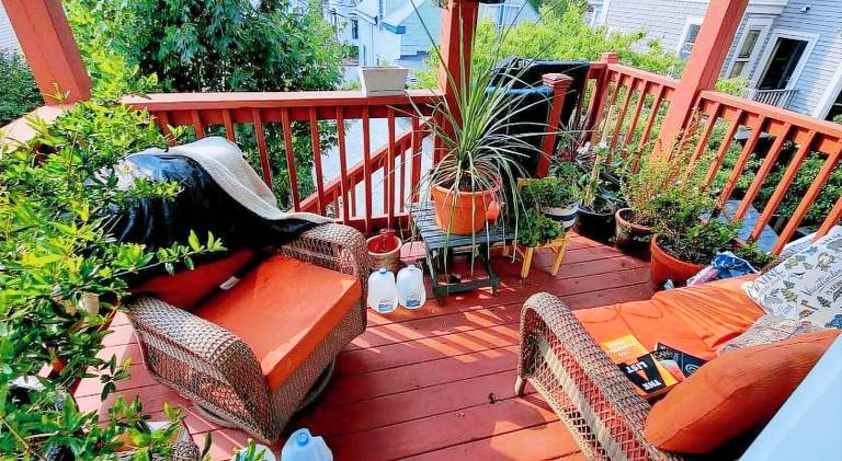 foto2