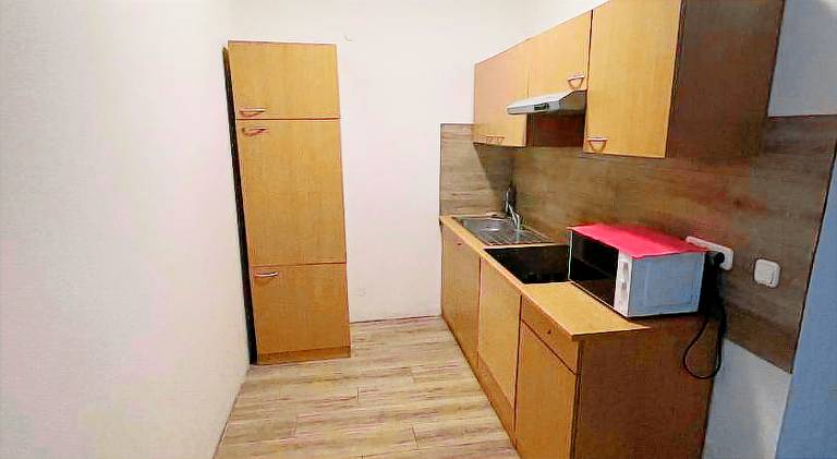 Apartment | Dogs allowed — photo 4