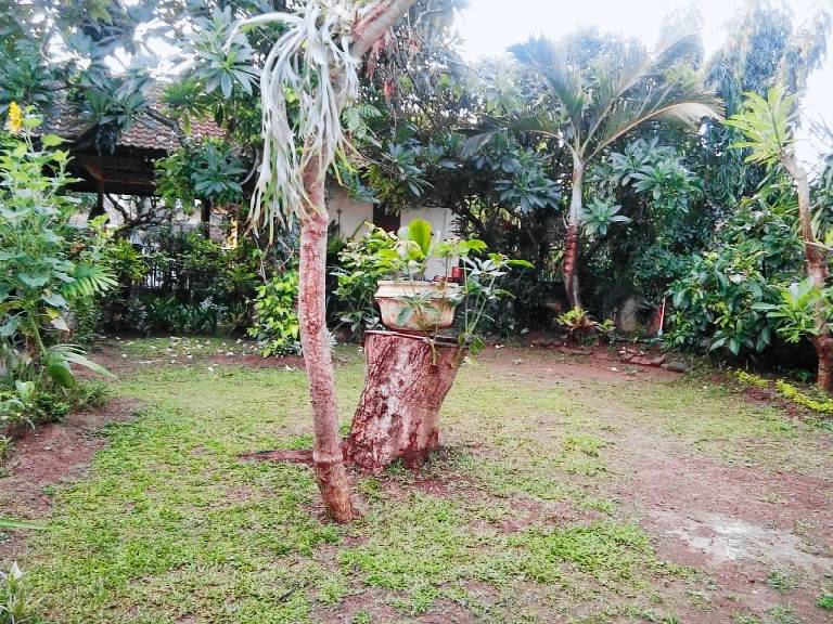 Bungalow Buleleng