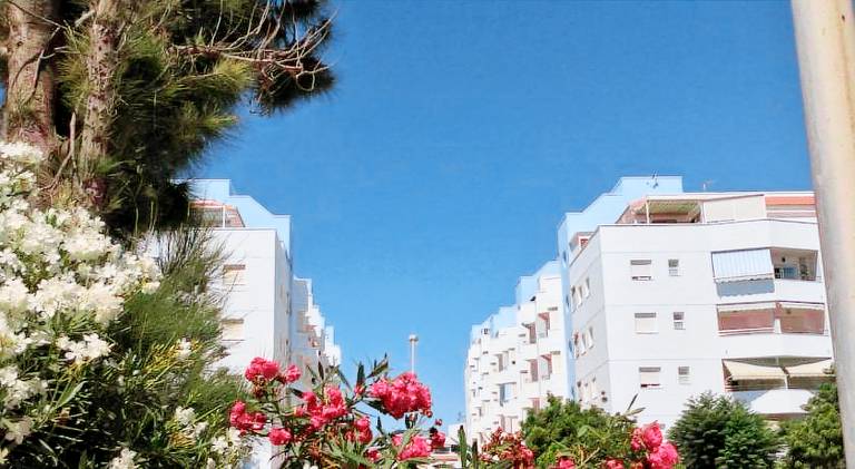 Rental apartment with yard & terrace in Roquetas de Mar