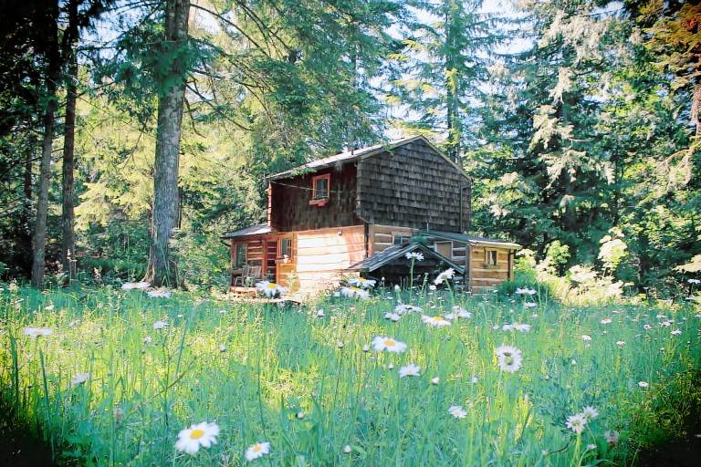 Cabin Rhododendron