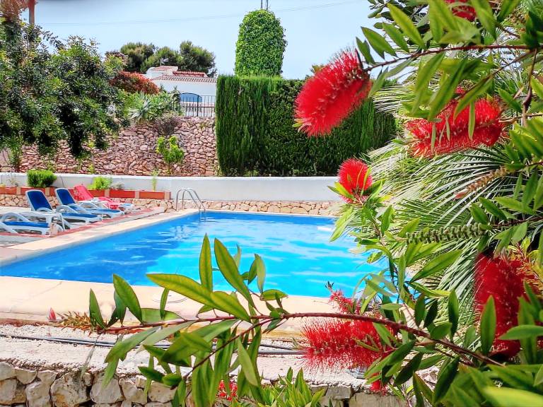 House with pool — photo 4