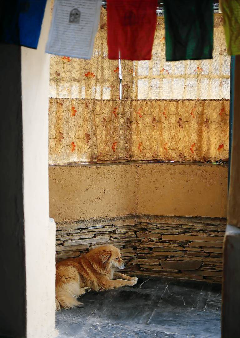 foto5