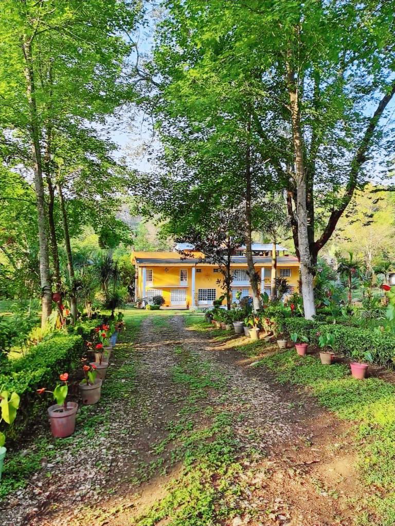 Hostel Jardin de los Anturios in Veracruz