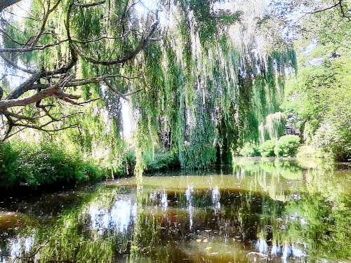 Bed & Breakfast Breda