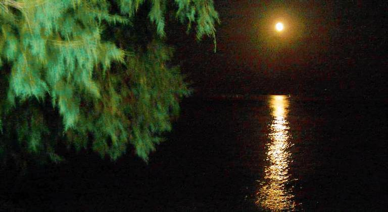 Pleasant holiday apartment with terrace | Pets are welcome in Loutraki-Agioi Theodoroi