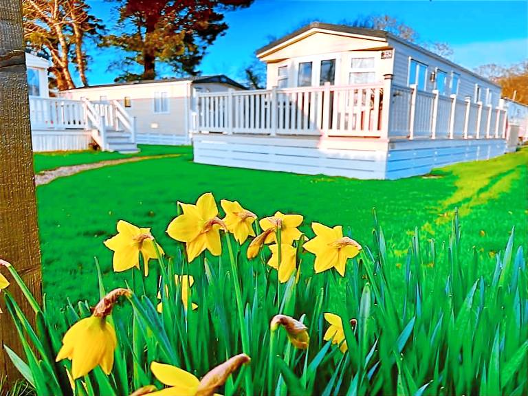 Holiday park  New Milton