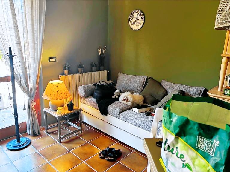 Apartment with terrace — photo 3