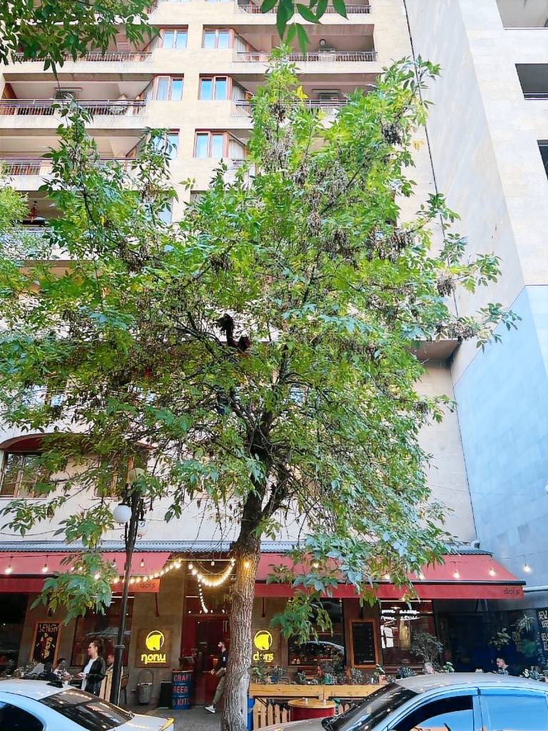 Serviced apartment with terrace — photo 2