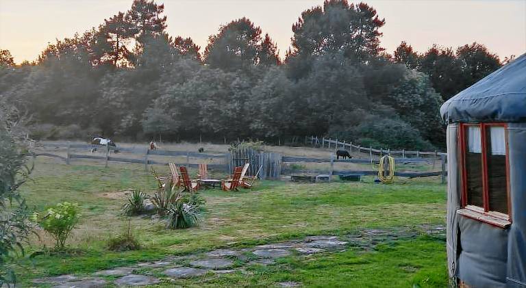 Lodge with garden, BBQ & terrace — photo 4