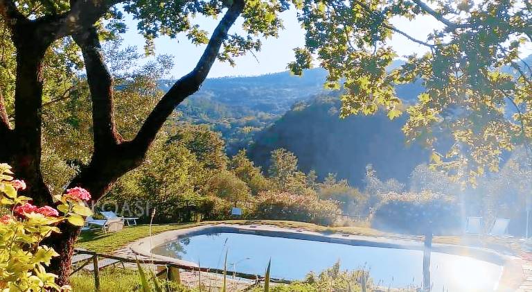 Farm with pool — photo 5