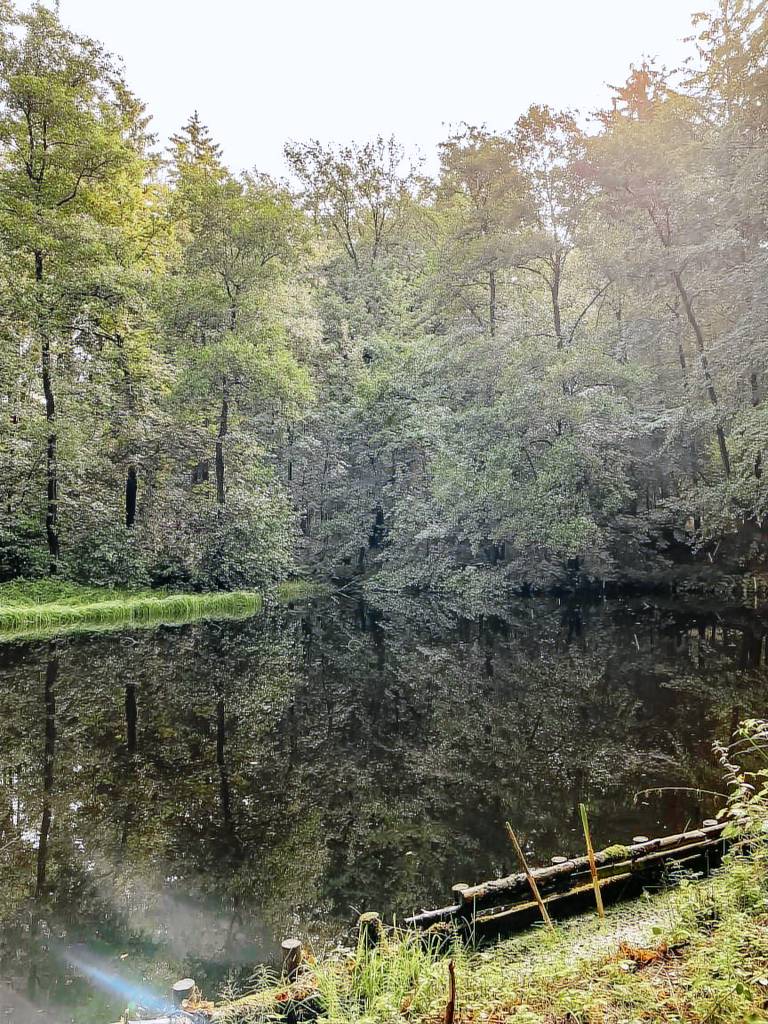 foto1