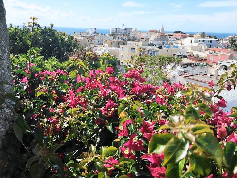 Appartamento Isola d'Ischia