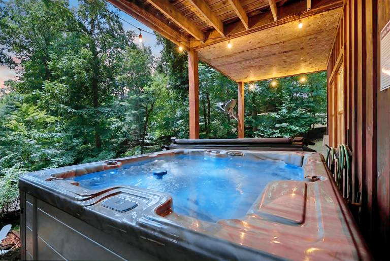 Cabin  Morganton