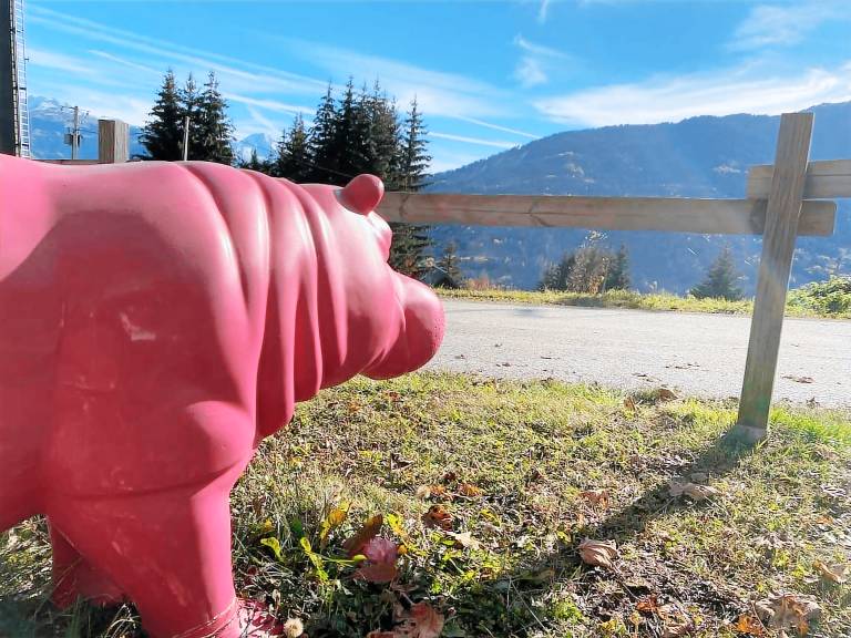 Chalet  Doucy