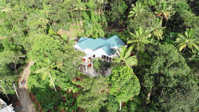 Coffee and Pepper Plantation Homestay