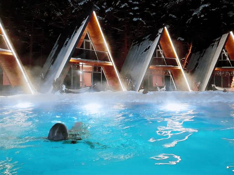 Chalet  Surami