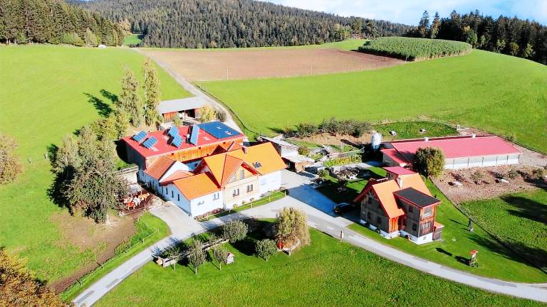 Ferienwohnung Mönichkirchen