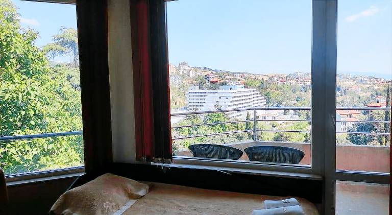 Hotel Avis — photo 4