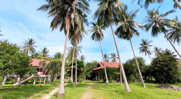 House with terrace & yard in Ko Pha-ngan