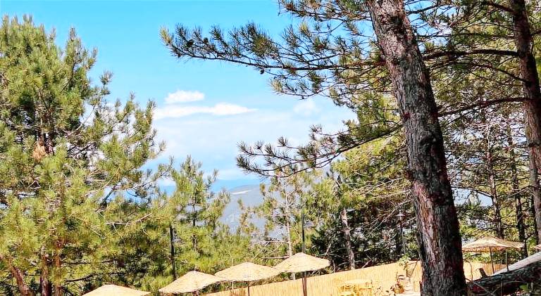 Niceland Iznik — photo 4