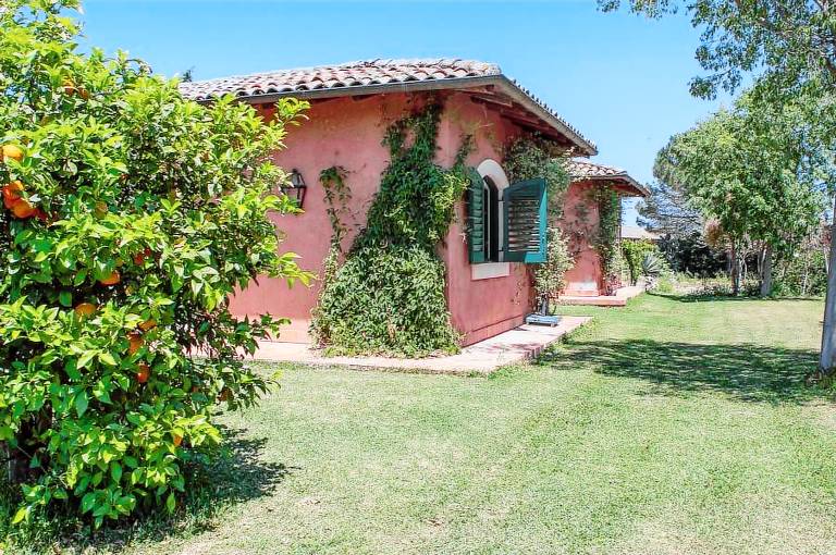 Tenuta San Calogero: Salvia — photo 5