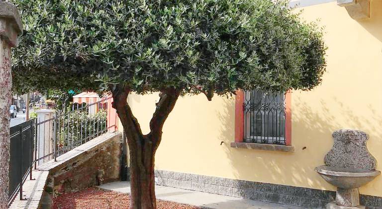 Casa Patrizia — photo 3