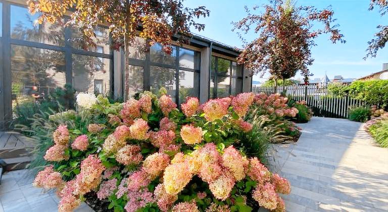 Holiday apartment with terrace & yard | Pets are welcome in Druskininkai