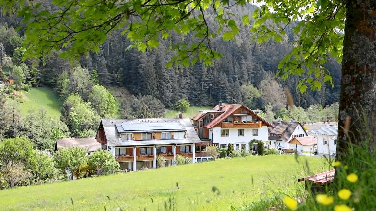 Ferienwohnung  Klosterreichenbach