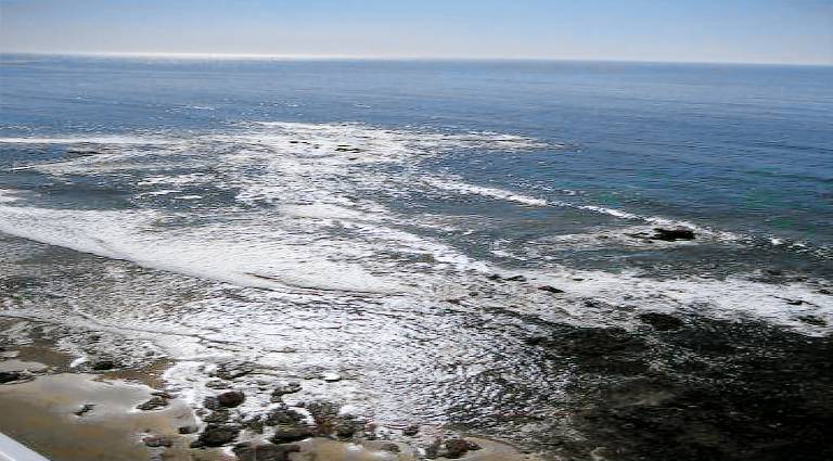 Condo  Rosarito