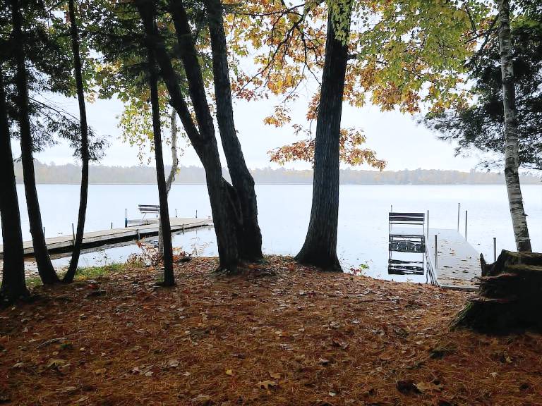 Cabin Rhinelander