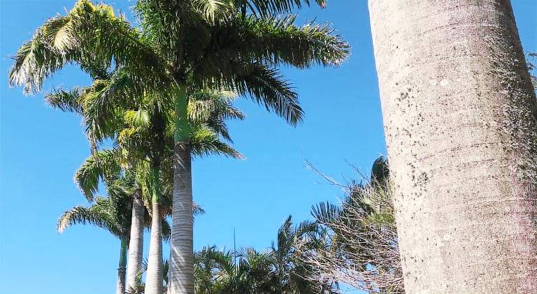Serviced apartment with garden, barbeque & pool | Beach nearby | Perfect for remote work | Pet-friendly — photo 5