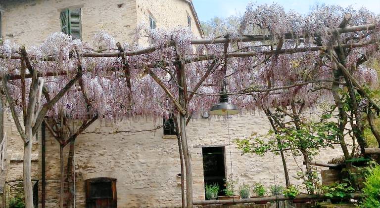 House with barbecue & garden — photo 3