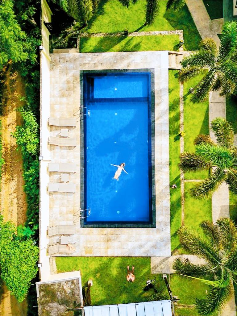 Jungle Paradise