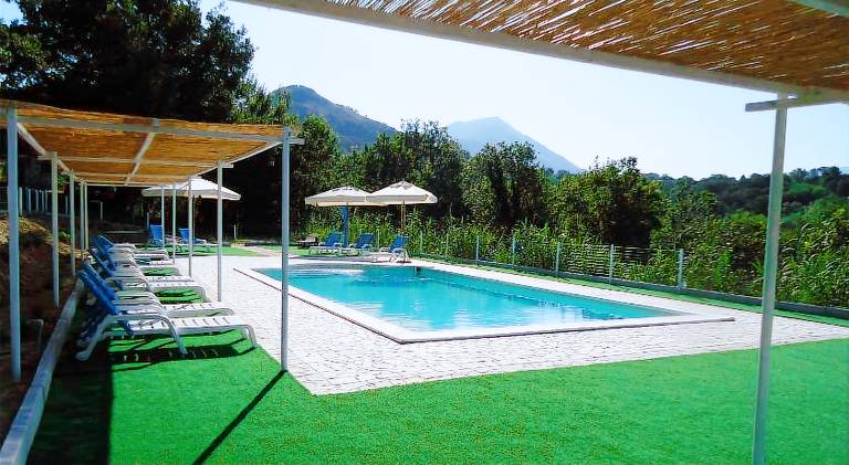 Farm with pool, patio & yard | Dogs allowed — photo 3