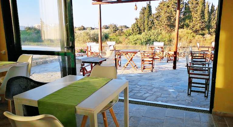 Ilios and Irene — photo 5