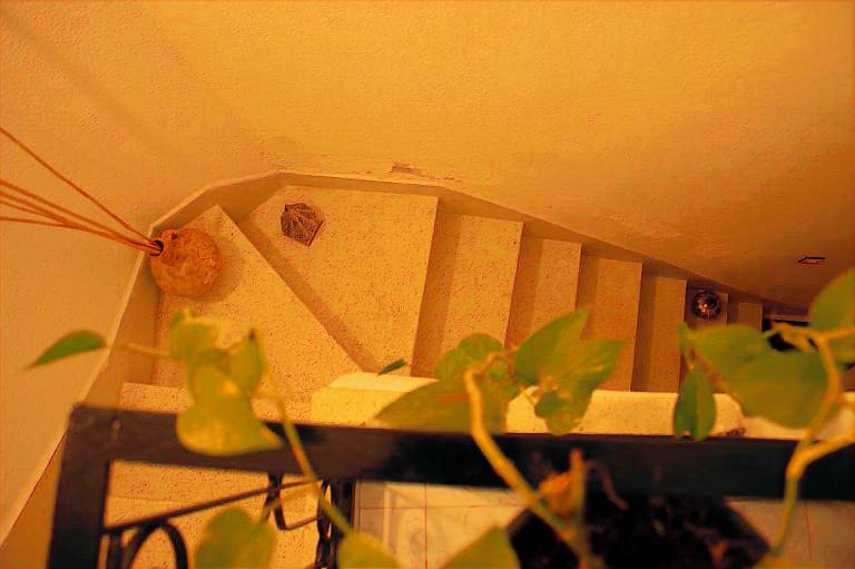 foto11