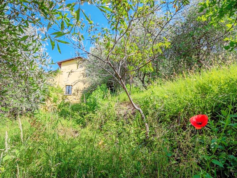 House with garden & terrace | Nature view | Suitable for remote work — photo 5