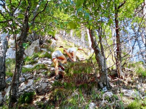 Apartma Planina pod Golico