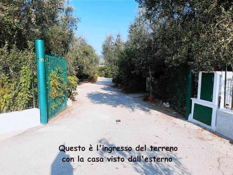 foto4