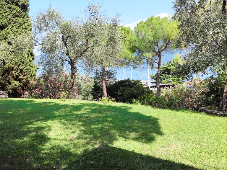 foto4
