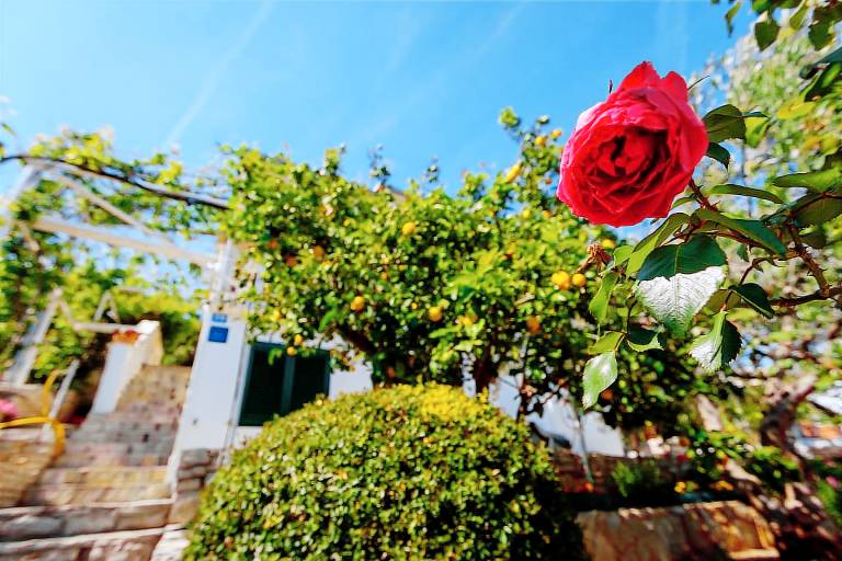 Apartman  Gornje Selo