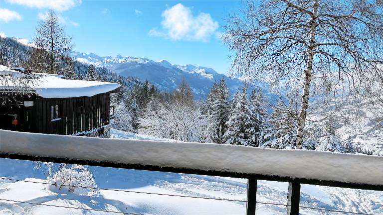 Chalet Arc 2000