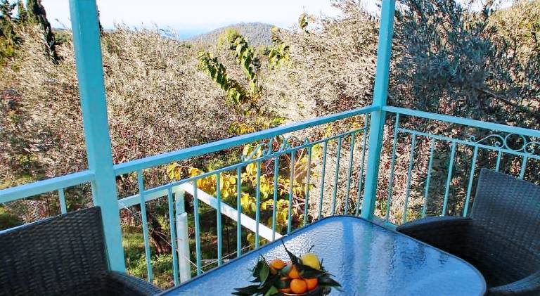 Beautiful vacation home with pool | Pet-friendly — photo 4
