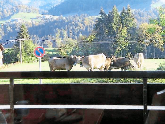 Holiday apartment with terrace, sauna & pool — photo 5