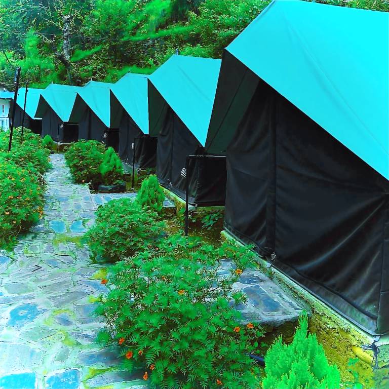 Venus Camping and resort Site in Chakrata