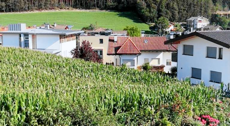 Villa Silvia — photo 4