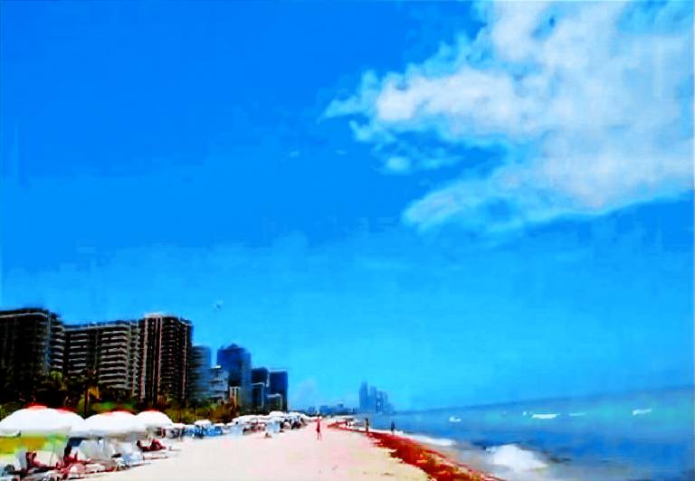 Cottage  Miami